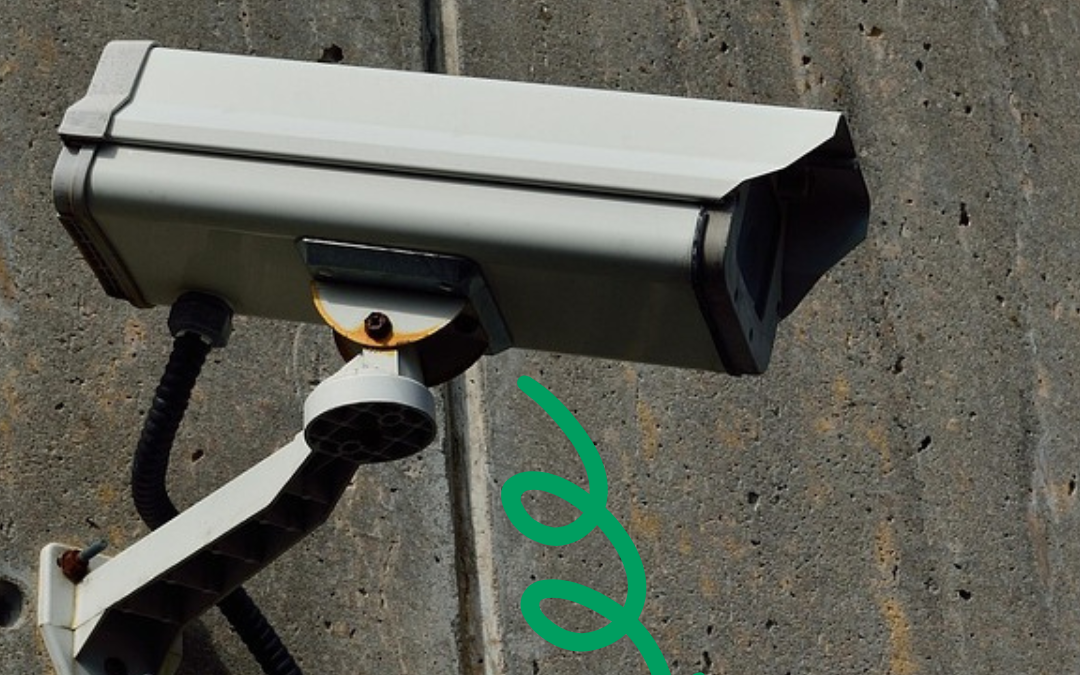 Caméra de surveillance… 5% d’efficacité!